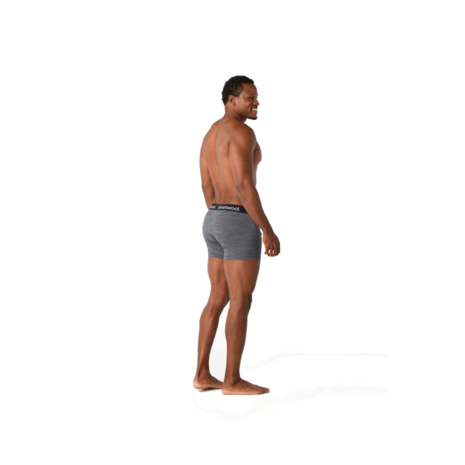 Bokserki MERIONO 150 BOXER BRIEF