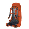 Plecak PARAGON 48