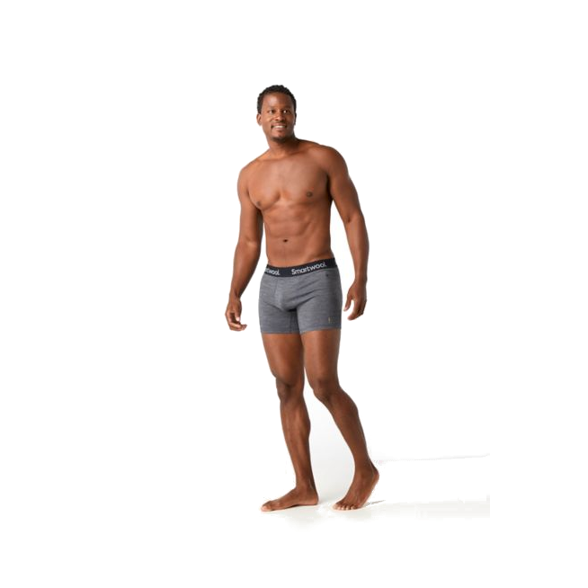 Bokserki MERIONO 150 BOXER BRIEF