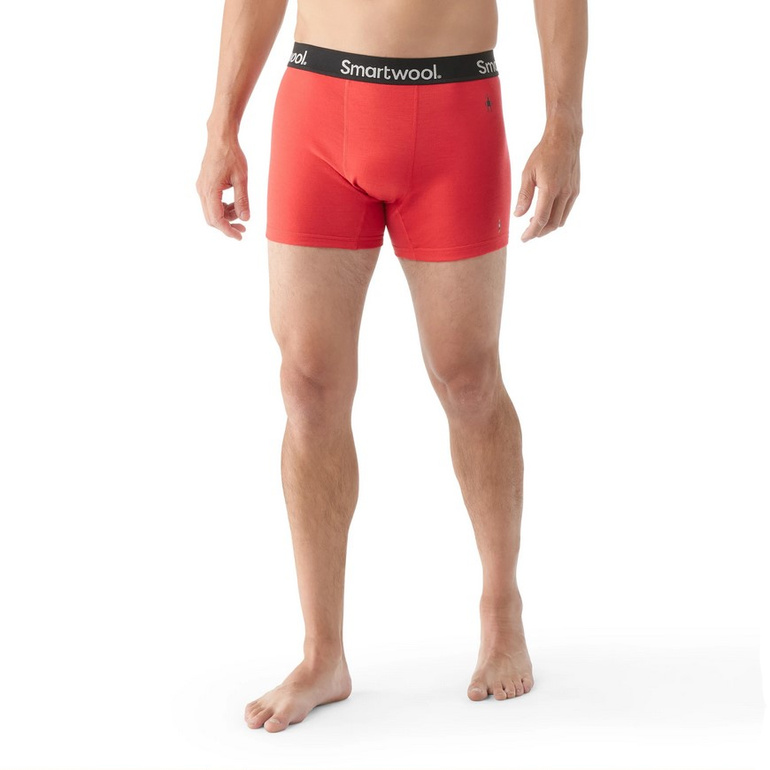Bokserki ACTIVE BOXER BRIEF